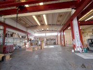 affitto capannone artigianale Massa