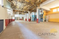 affitto locale commerciale Pisa