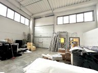 affitto capannone industriale Ponsacco