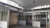 affitto capannone artigianale Lucca