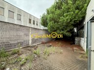 affitto capannone industriale Livorno