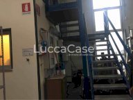 affitto capannone industriale Capannori