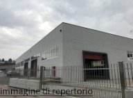 affitto capannone commerciale Viareggio