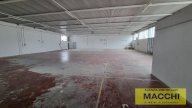 affitto capannone artigianale Casciana Terme Lari
