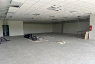 affitto capannone commerciale Castelfiorentino