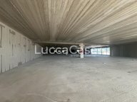 affitto capannone commerciale Camaiore