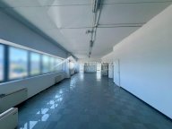 affitto locale commerciale Pisa