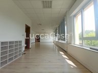 affitto ufficio Lucca