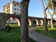 affitto locale commerciale Pisa