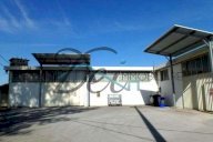 Affitto Capannone Capannori