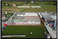 affitto capannone artigianale Bientina