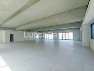 affitto capannone commerciale Lucca