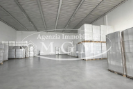 affitto capannone artigianale Bientina