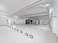 affitto capannone commerciale Porcari