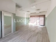 affitto locale commerciale Lucca