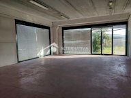 affitto capannone commerciale Cascina