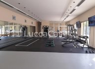 affitto locale commerciale Lucca