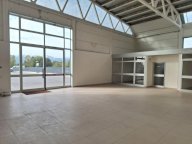 affitto capannone commerciale Capannori