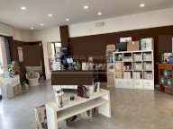 affitto locale commerciale Cascina