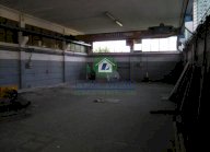 affitto capannone artigianale Massa e Cozzile