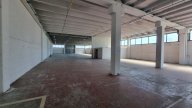 affitto capannone commerciale Pontedera