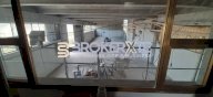 affitto capannone industriale Luni