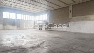 affitto capannone industriale Pescia