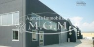 affitto capannone industriale Vicopisano