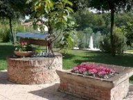 affitto attività commerciale Santa Maria a Monte