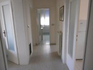 affitto attico/mansarda Rosignano Marittimo