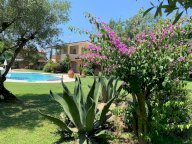 affitto villa Pietrasanta