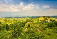 affitto villa Empoli