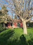affitto villa Santo Stefano di Magra