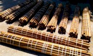 Canne di bambù bambu bamboo