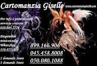 CARTOMANZIA GISELLE,PROFESSIONALITA  A BASSO COSTO