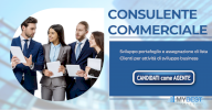 Consulente Commerciale